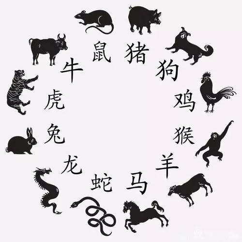 餐风沐雨打一最准生肖，详细解答、时代解答解释落实