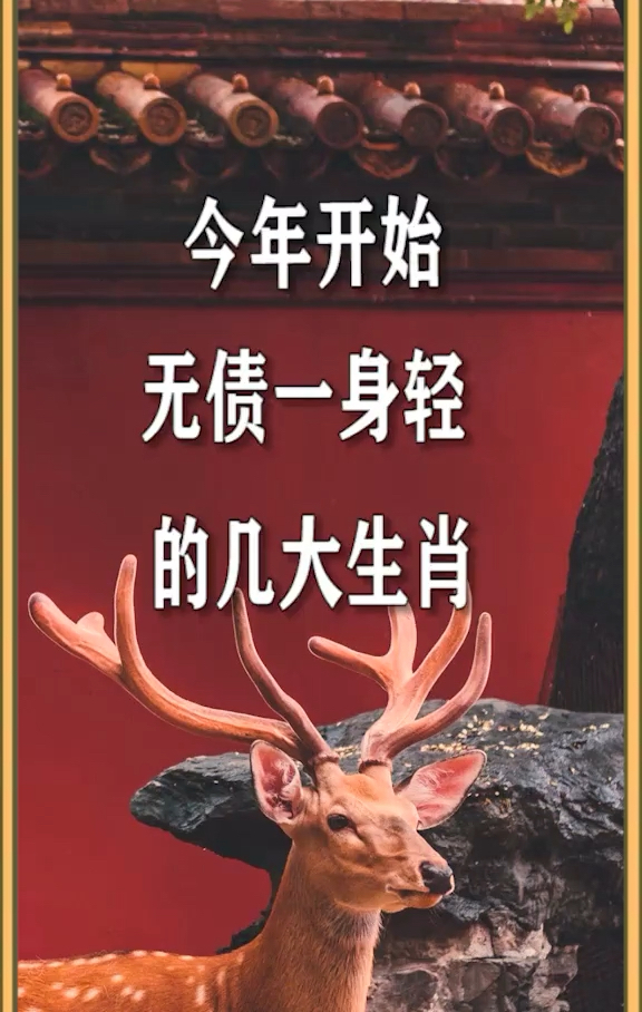 渾渾噩噩，虚耗生命，歲月匆匆最無情打一生肖警惕虚假宣传、全面解答与解释、全面解答解释落实