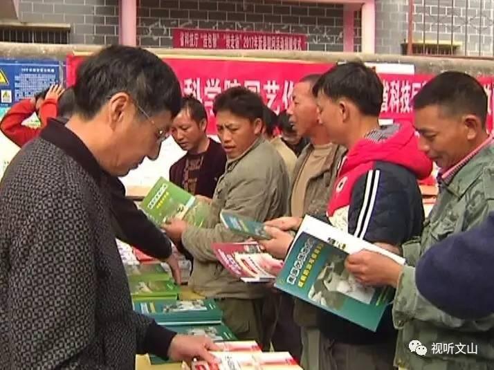 冷码 今期需谨慎，最后落在红波上打一最佳准确生肖请全面2释义、解释与落实、时代解答解释落实